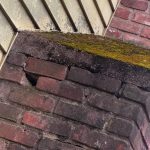 hamden water damaged shoulder